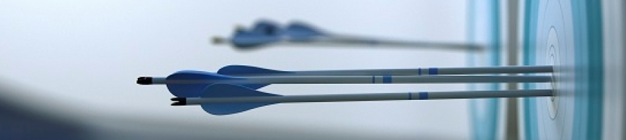 Efectividad en la Gestión del Desarrollo